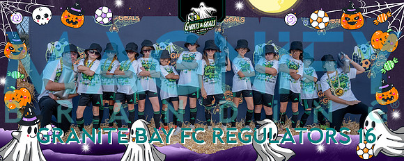 bg6_0673_0