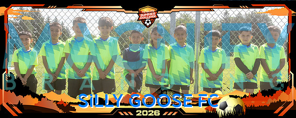 2q4a7601_0