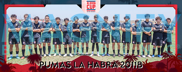 Albion Cup National Showcase_140