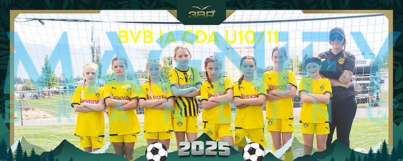 3BR_230